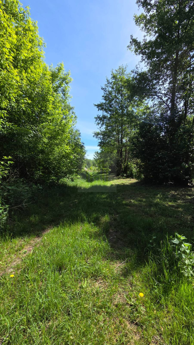 DZIAŁKA INWESTYCYJNA-PARK WODNY