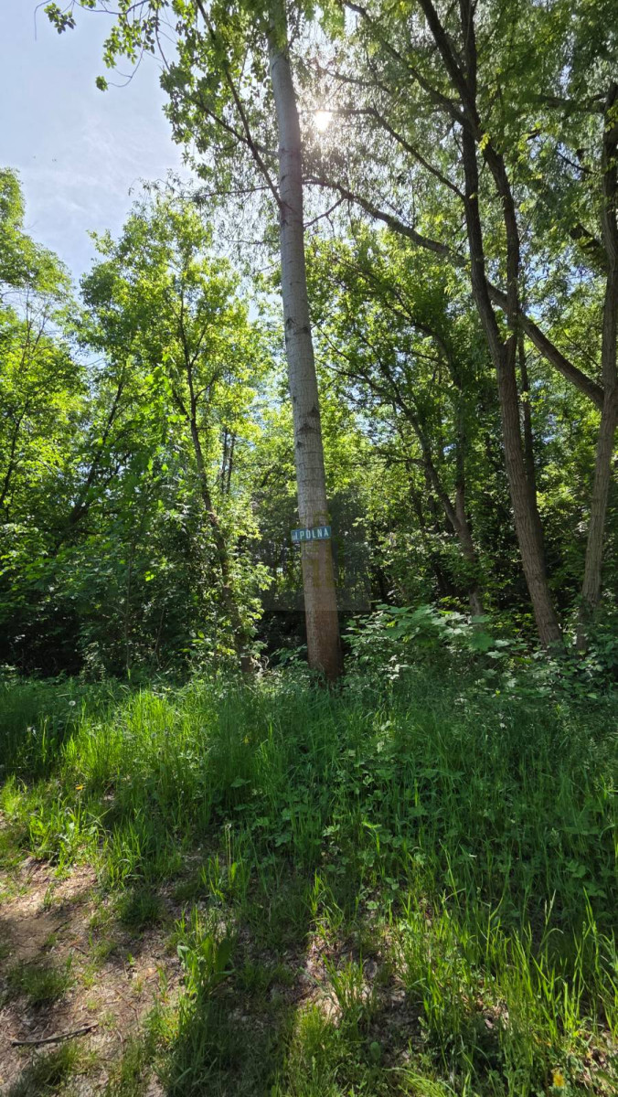 DZIAŁKA INWESTYCYJNA-PARK WODNY