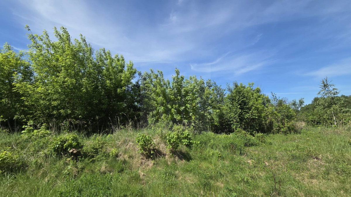 DZIAŁKA INWESTYCYJNA-PARK WODNY
