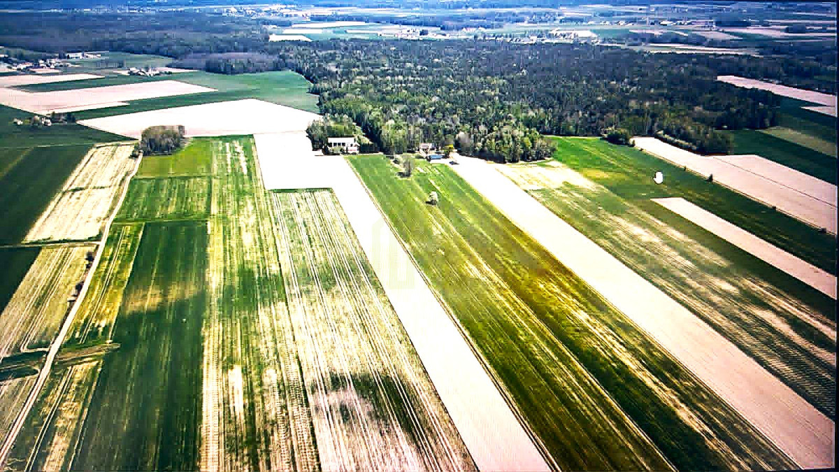 Luksusowe siedlisko 240m2 przy lesie i rzece Bug2