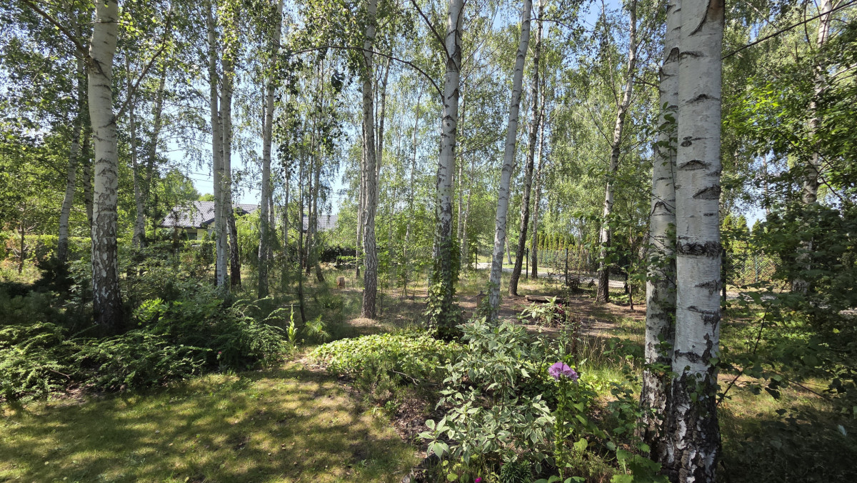 Wyjątkowy dom z bala drewnianego – 169,53 m² | dzi