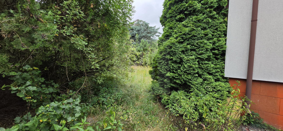 Dom 350 m od WKD Piaskowa, 1000 m2 działka