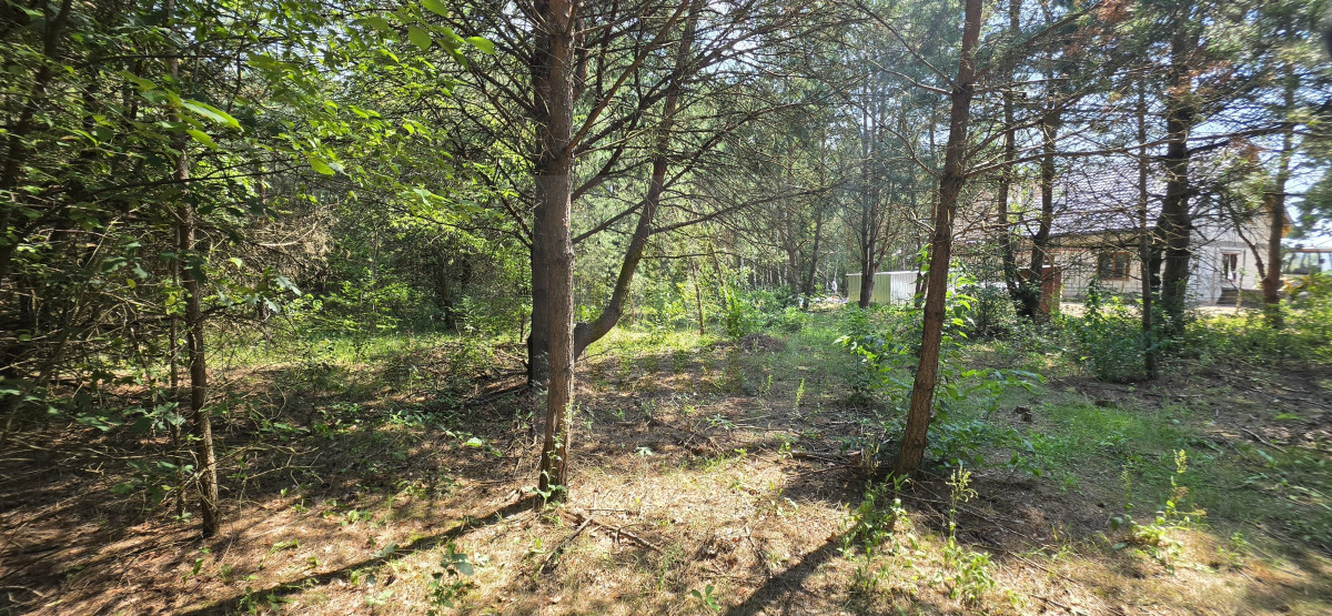 Urocza działka pod budowę Bartoszówka