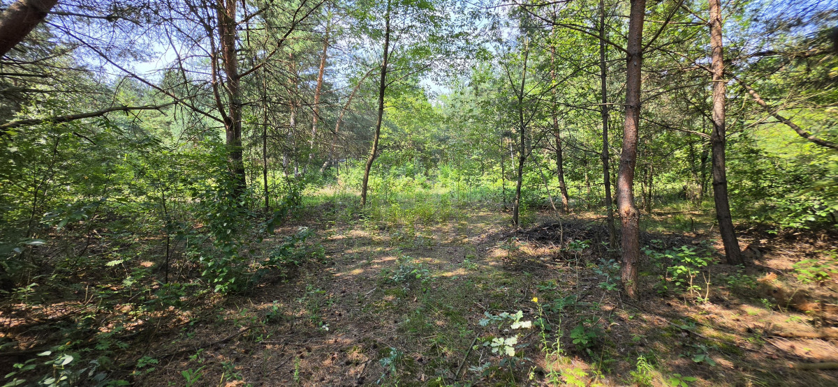 Urocza działka pod budowę Bartoszówka