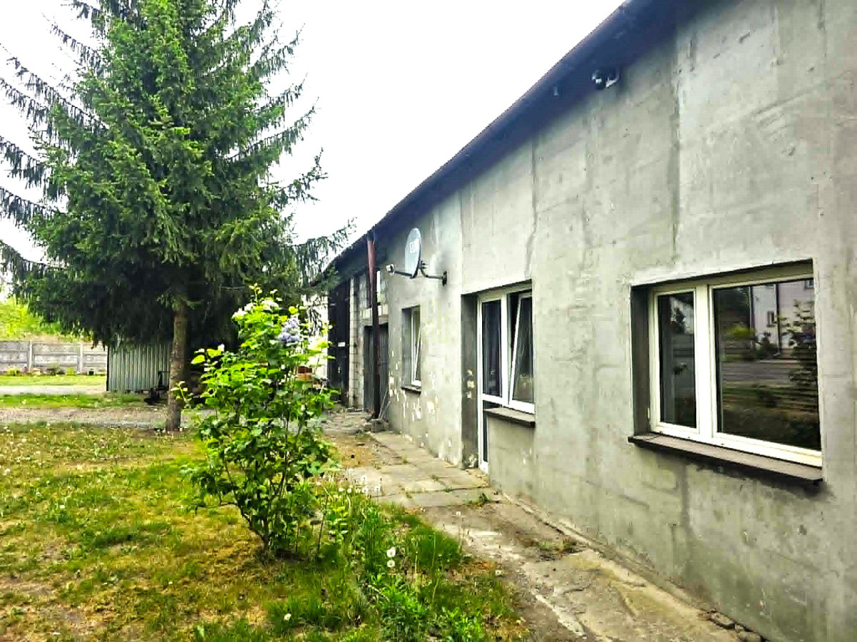 Duża działka 5000m2 z zabudowaniami, DK92 Błonie