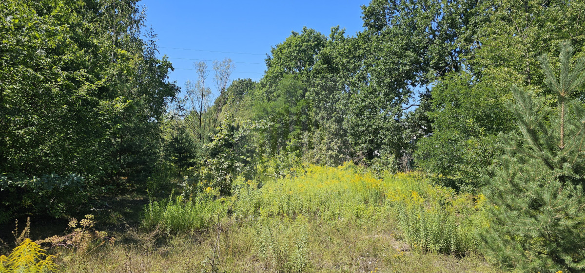 Nieruchomość gruntowa z potencjałem