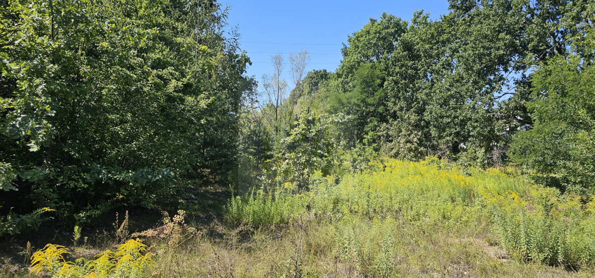 Nieruchomość gruntowa z potencjałem