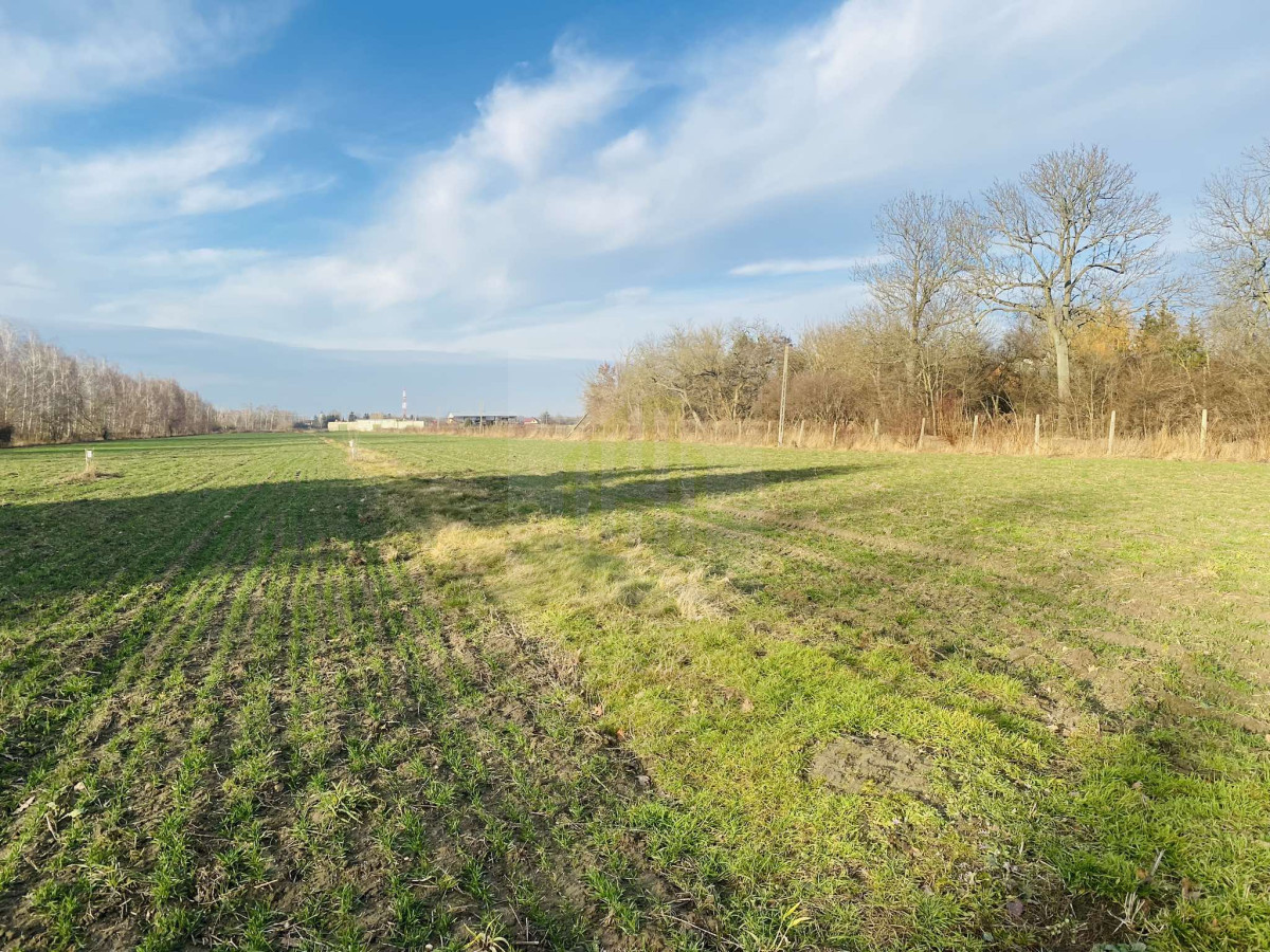 Działka 1070 m2 k/Błonia