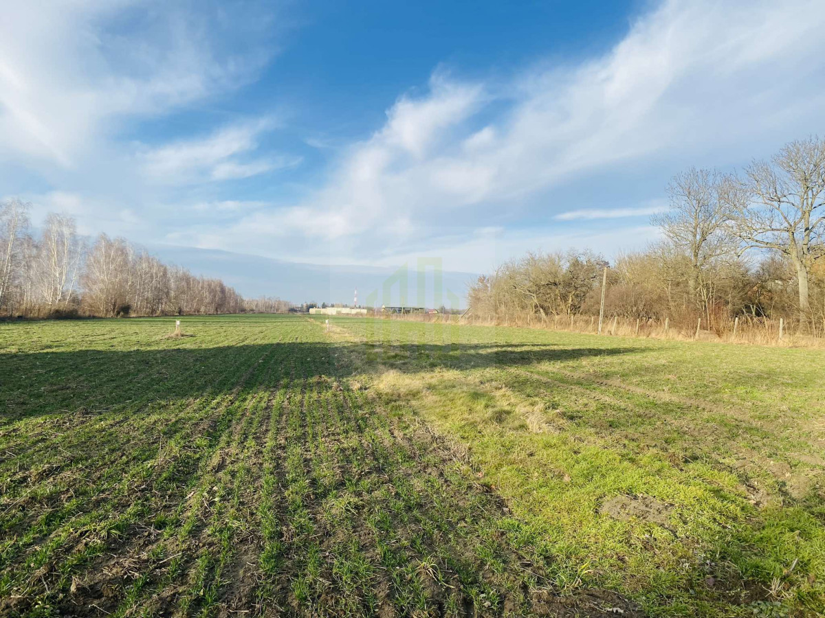 Działka 1070 m2 k/Błonia