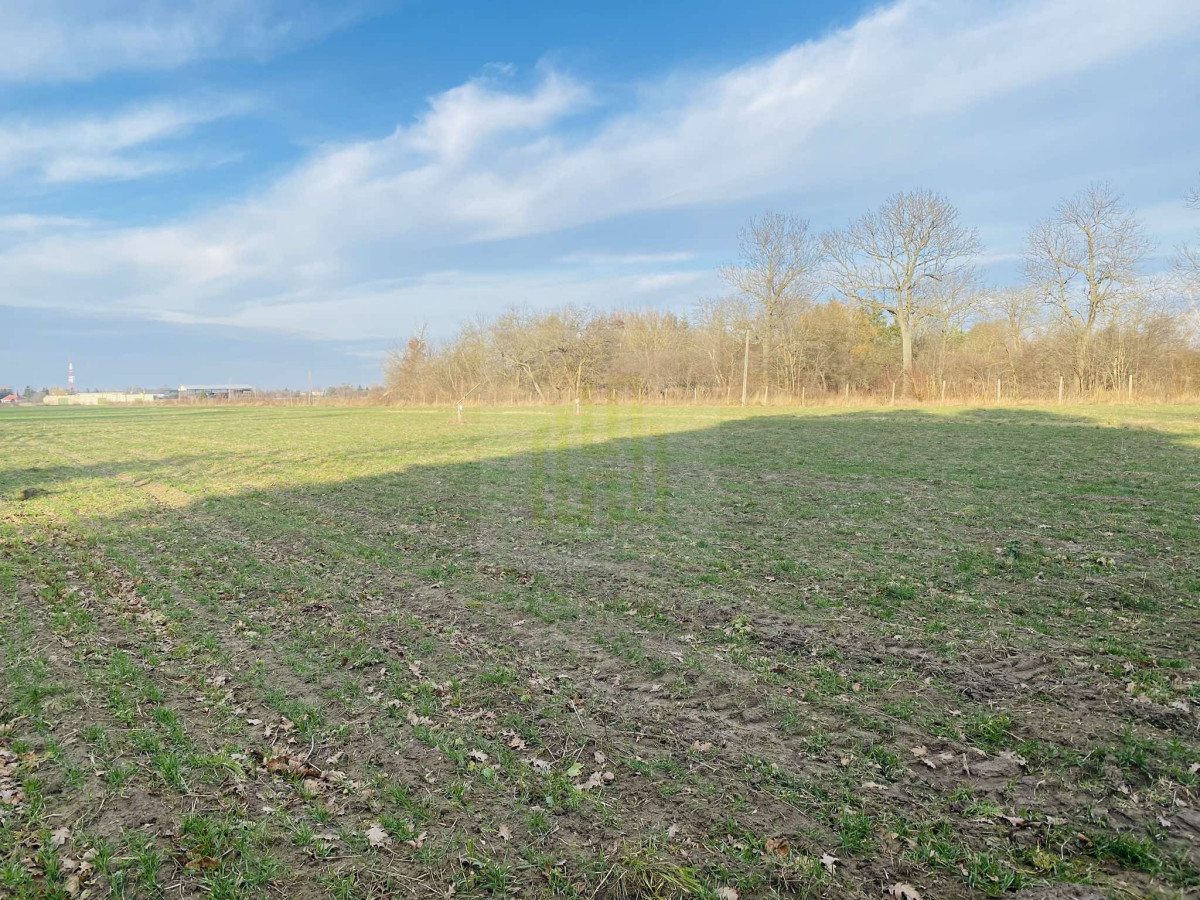 Działka 1070 m2 k/Błonia