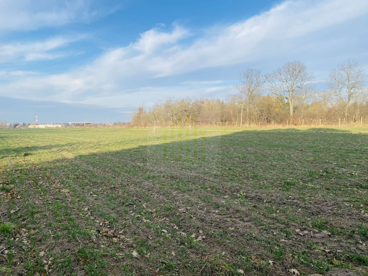 Działka 1070 m2 k/Błonia