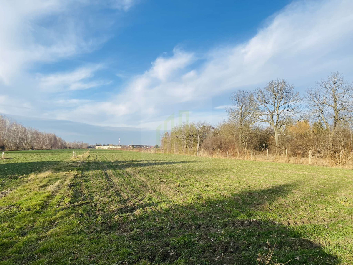 Działka 1070 m2 k/Błonia