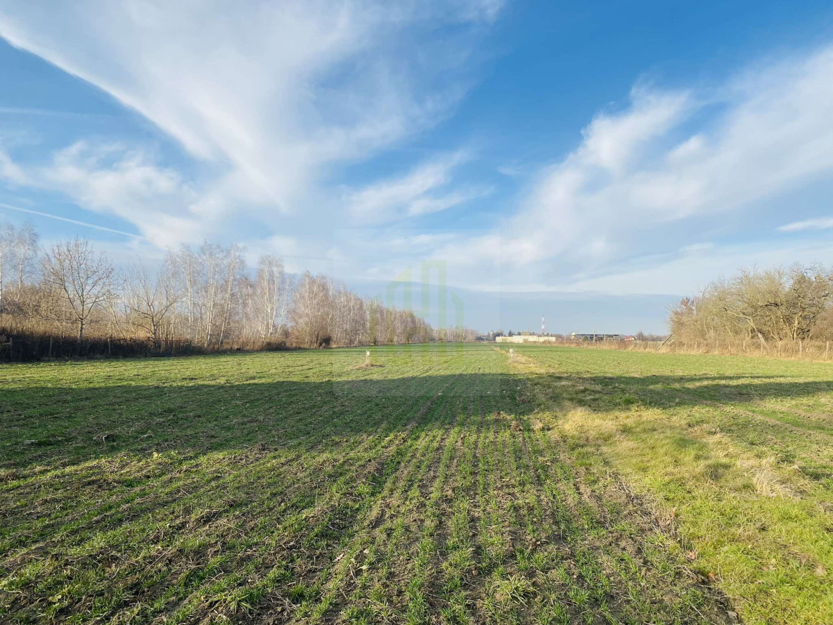 Działka 1070 m2 k/Błonia