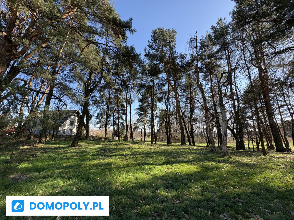 Dom na sprzedaż