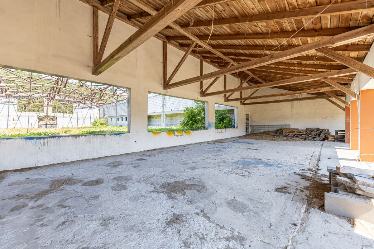 Komercyjny na sprzedaż