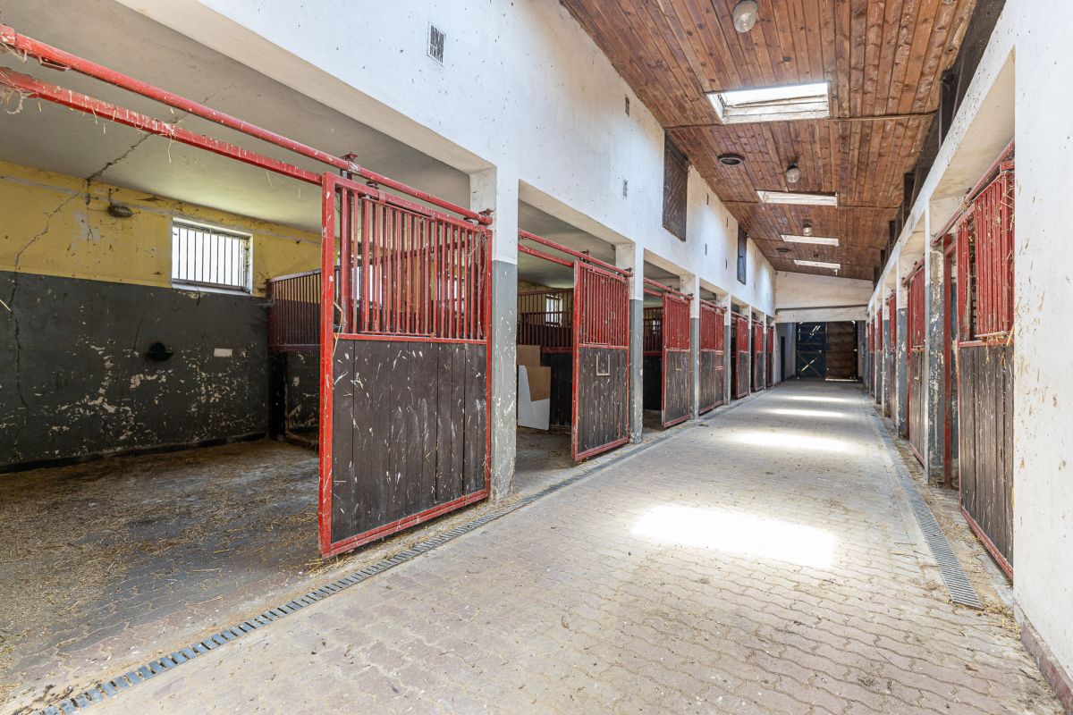 Komercyjny na sprzedaż