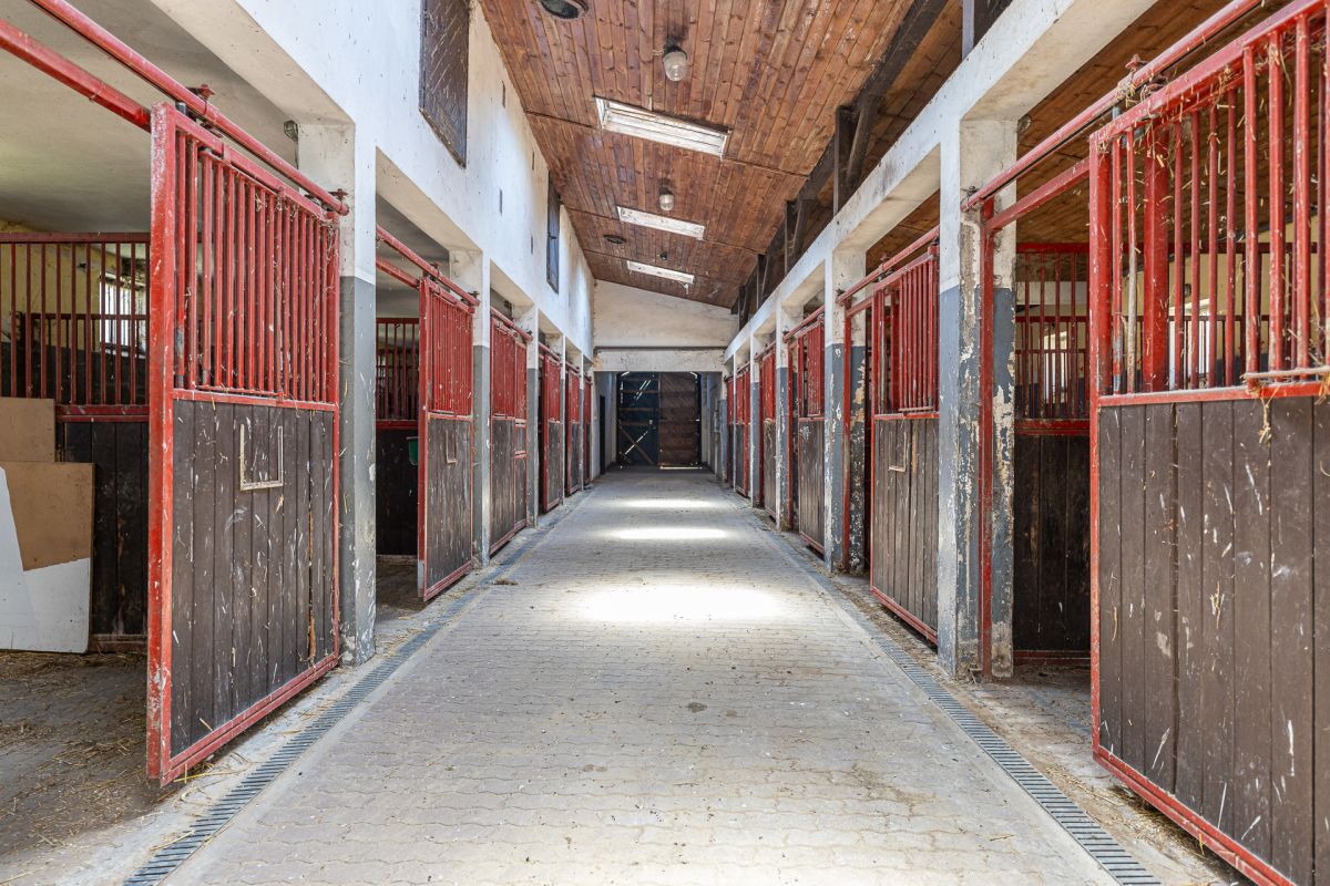 Komercyjny na sprzedaż