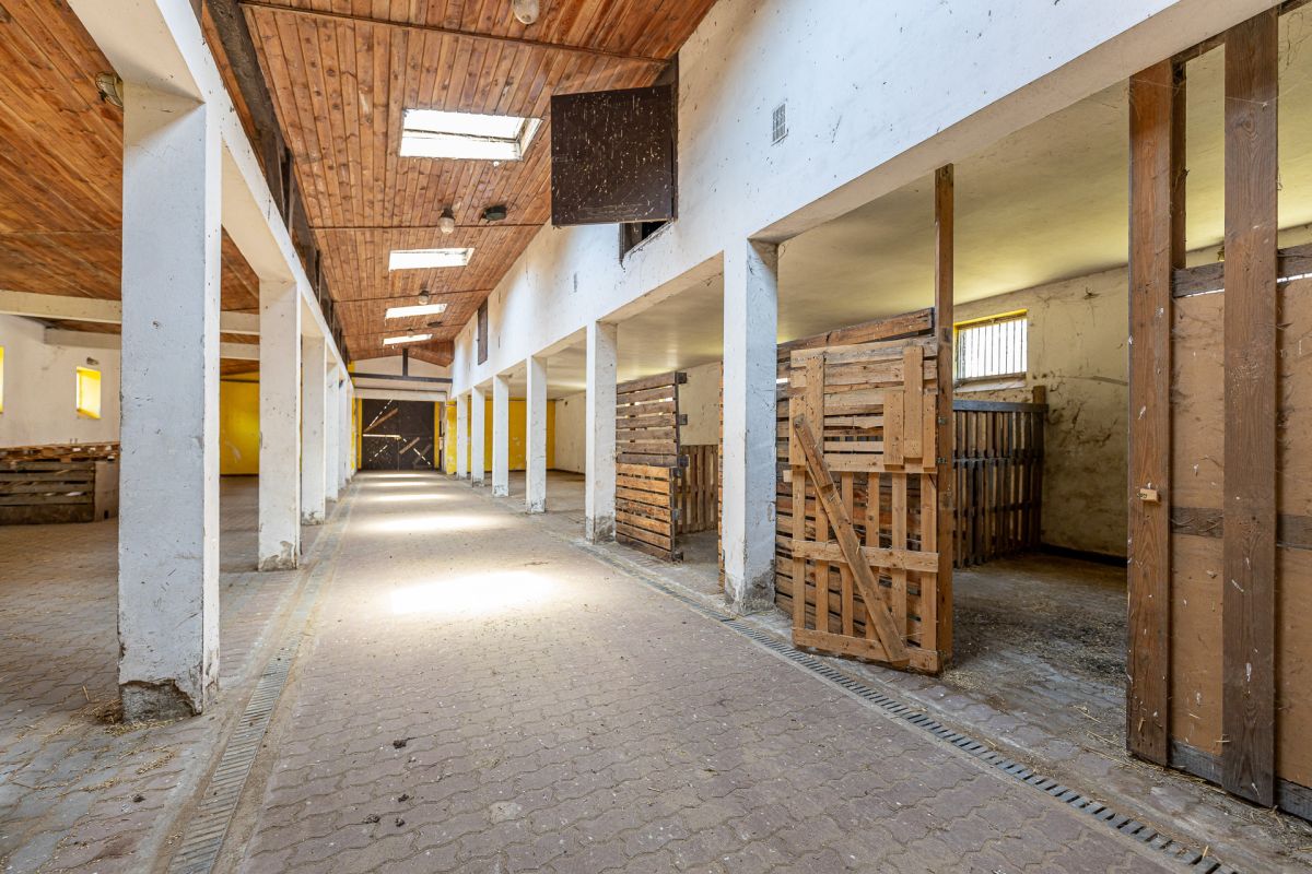 Komercyjny na sprzedaż