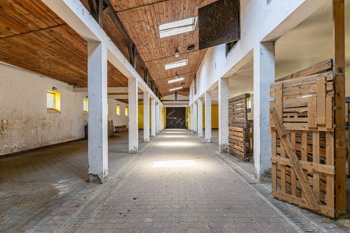 Komercyjny na sprzedaż