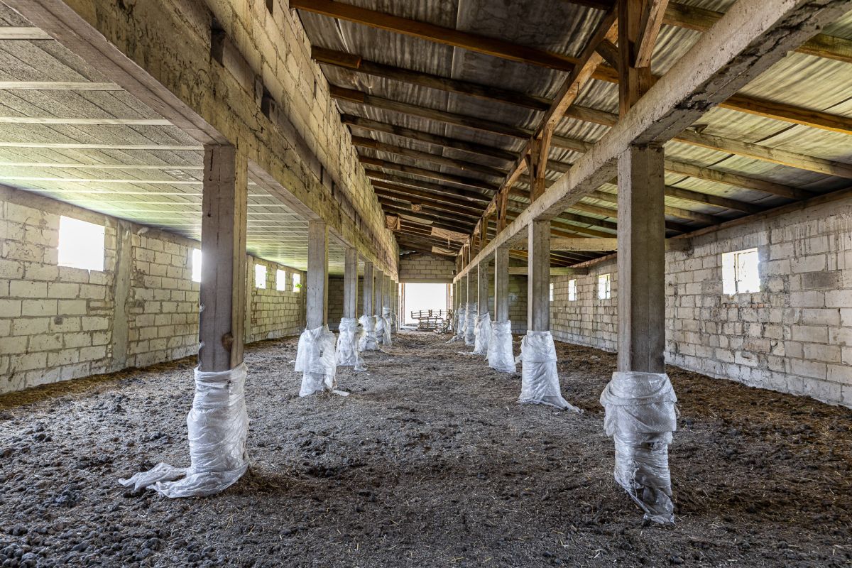 Komercyjny na sprzedaż