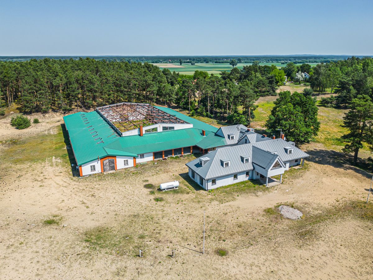 Komercyjny na sprzedaż