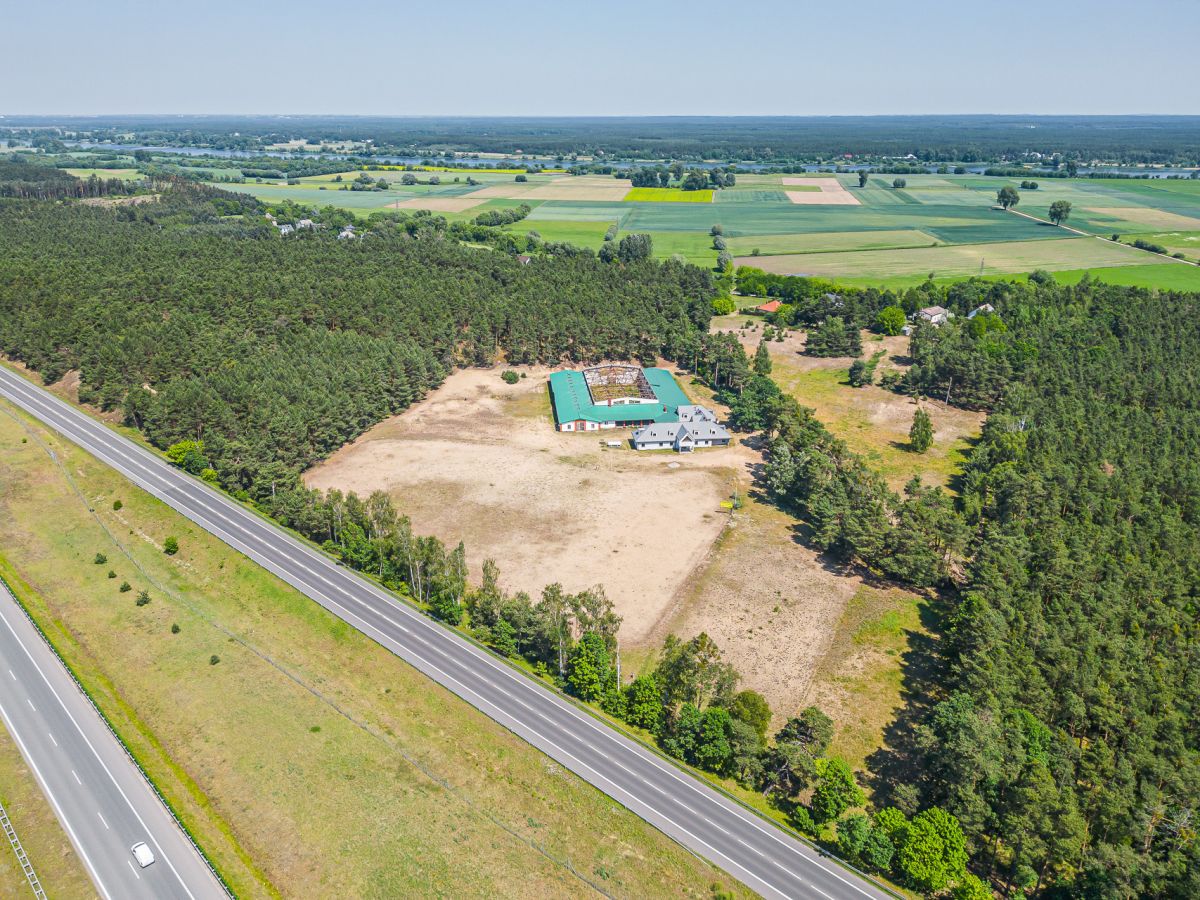 Komercyjny na sprzedaż