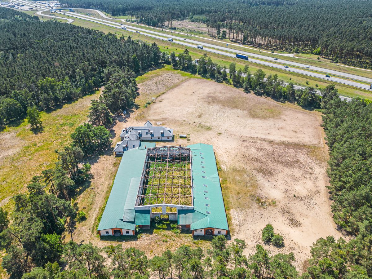 Komercyjny na sprzedaż