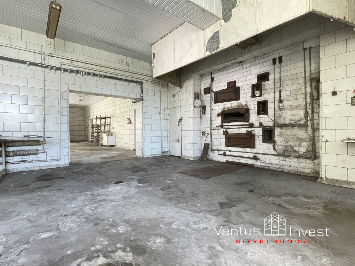 Komercyjny na wynajem