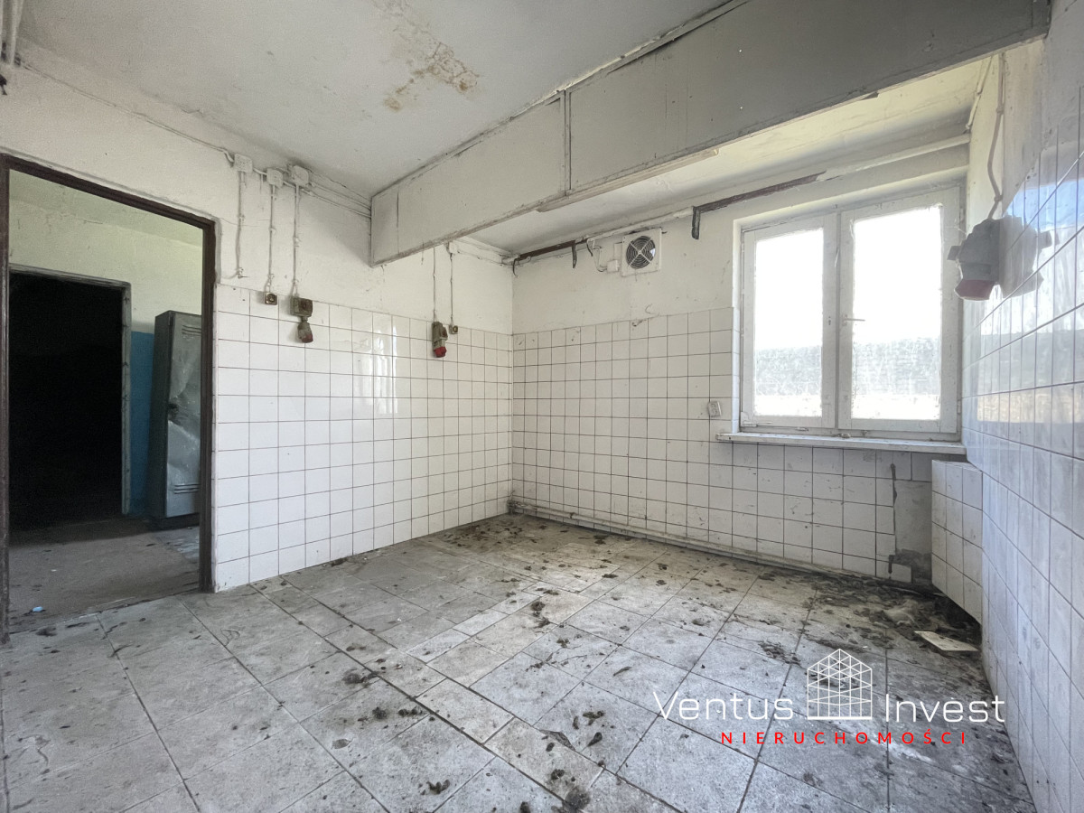 Komercyjny na wynajem