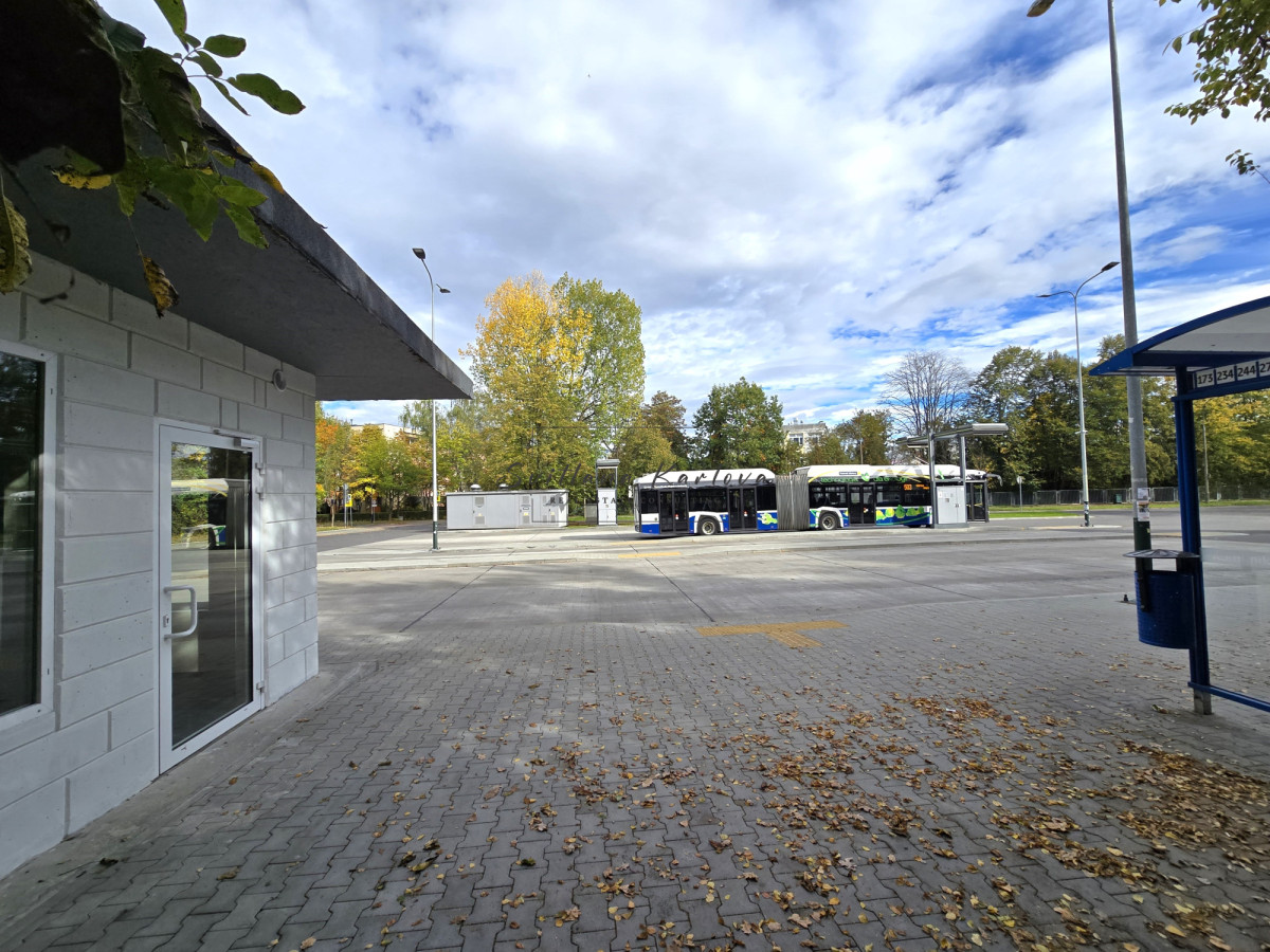 Komercyjny na wynajem