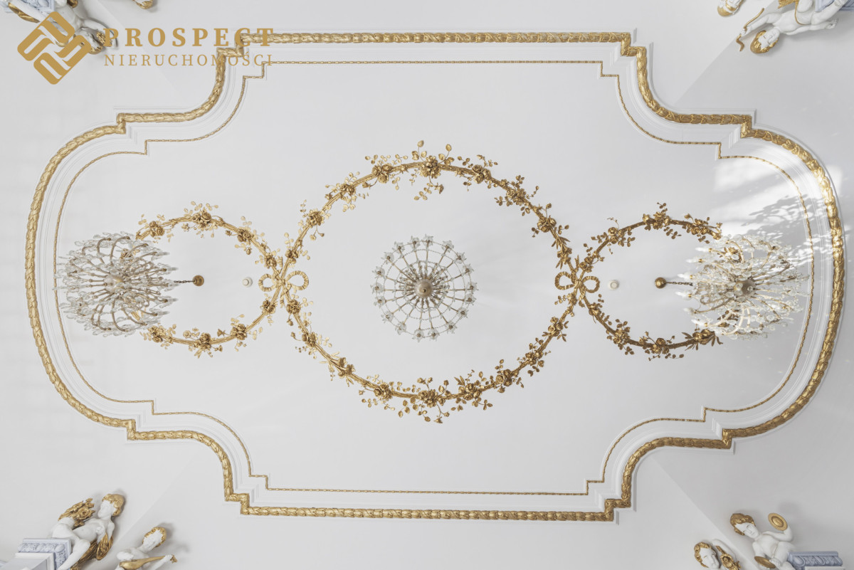 Komercyjny na wynajem