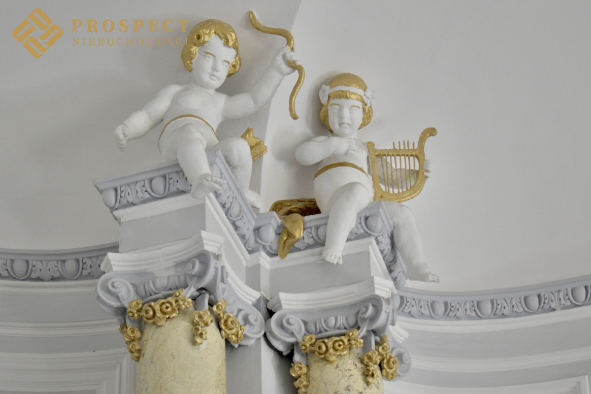 Komercyjny na wynajem