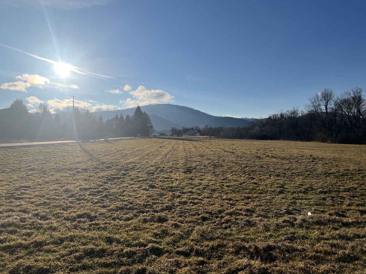Zdjęcie 9 - DZIAŁKA BUDOWLANA 1243 M2 I LIPOWA I WIDOK NA GÓRY