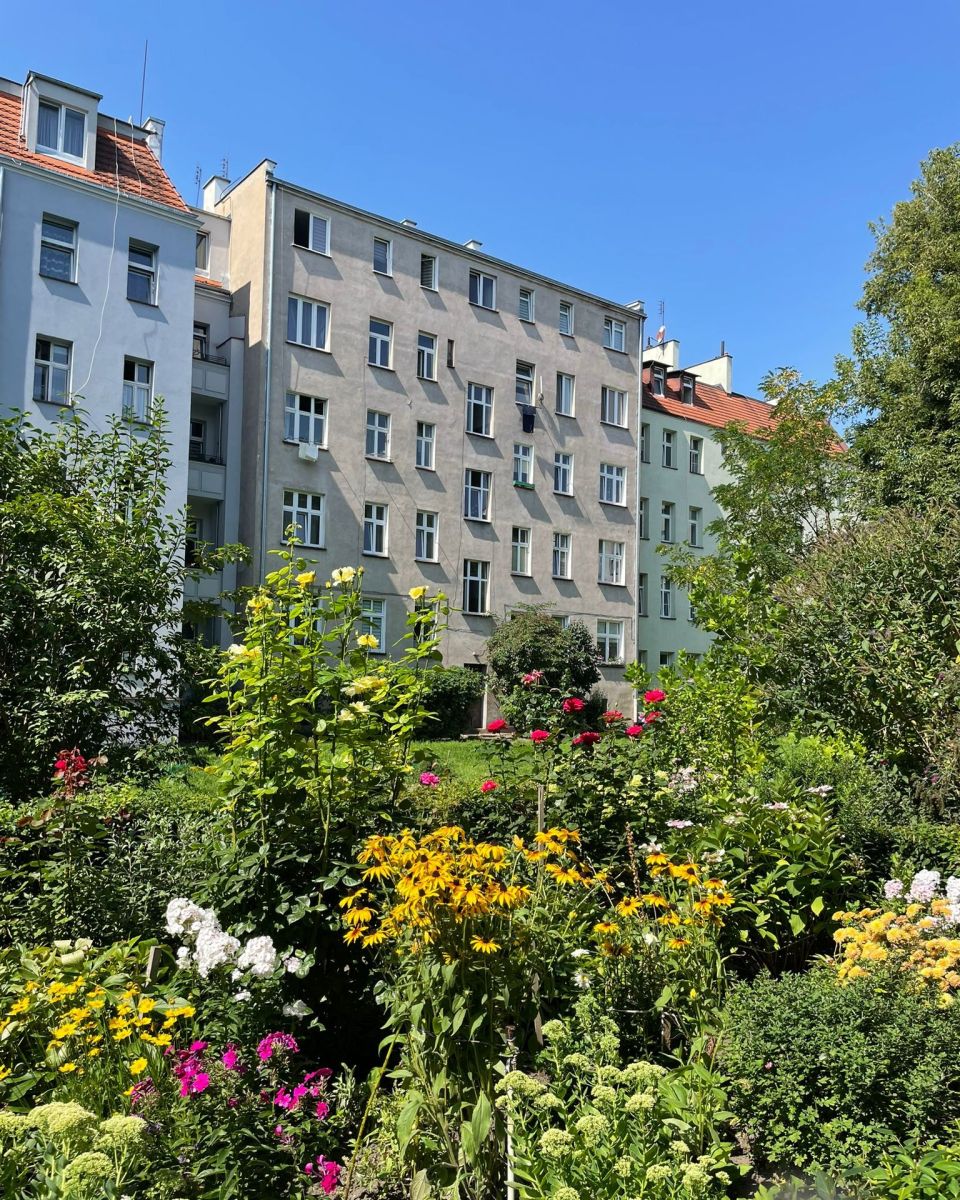 Mieszkanie na wynajem