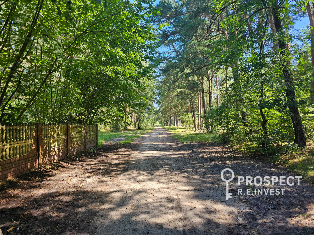 Dom, własny kawałek lasu, blisko rzeki, Pukarzów