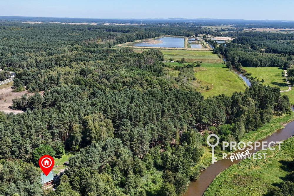 Dom, własny kawałek lasu, blisko rzeki, Pukarzów