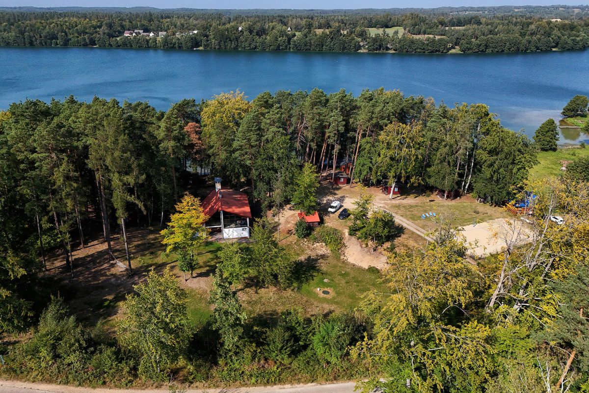 Komercyjny na sprzedaż