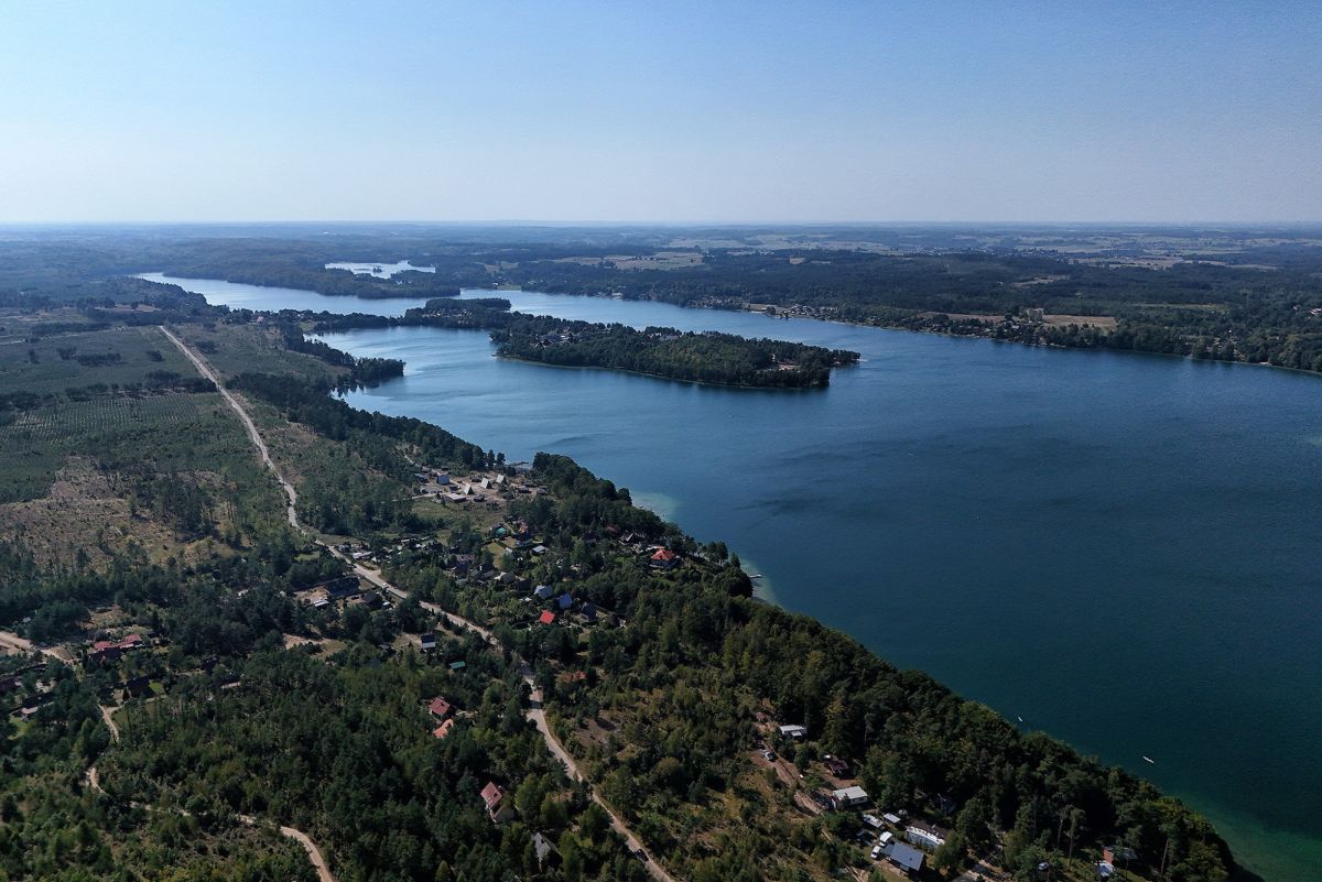 Komercyjny na sprzedaż