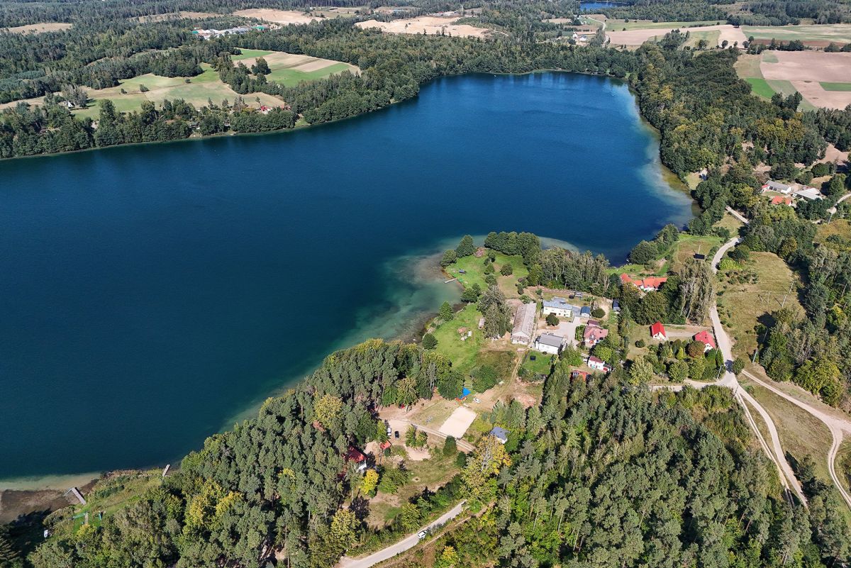 Komercyjny na sprzedaż