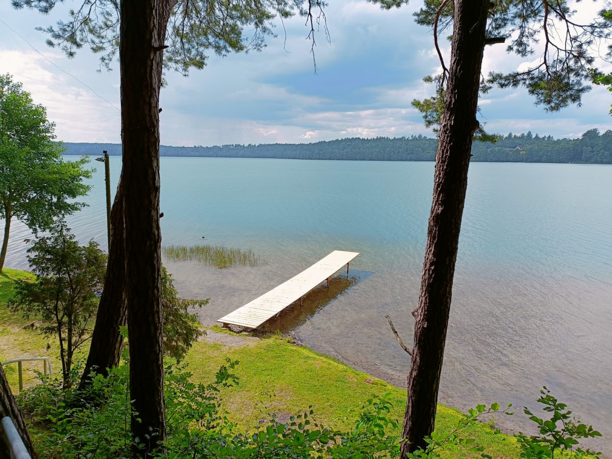 Komercyjny na sprzedaż