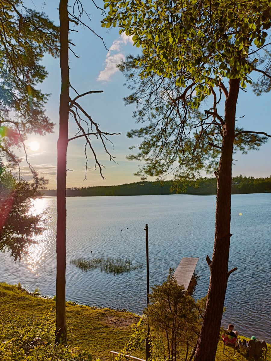 Komercyjny na sprzedaż