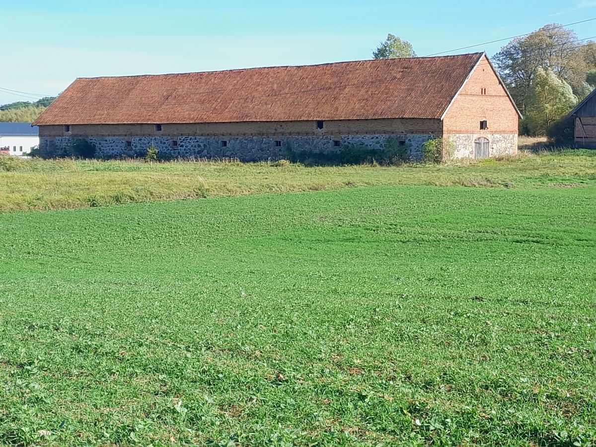 Komercyjny na sprzedaż