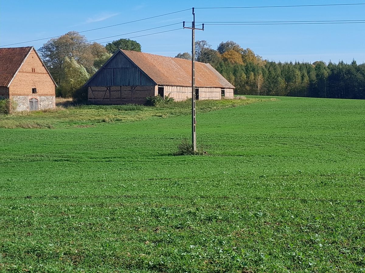 Komercyjny na sprzedaż