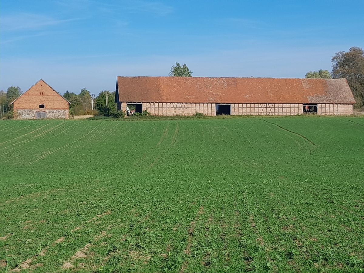 Komercyjny na sprzedaż