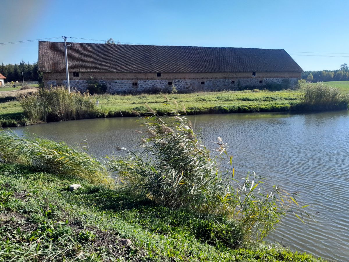 Komercyjny na sprzedaż