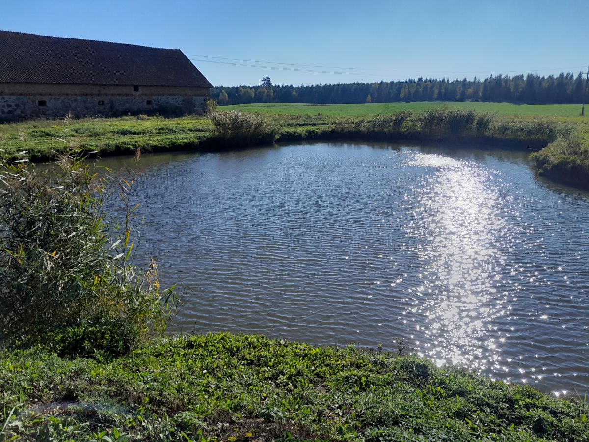 Komercyjny na sprzedaż