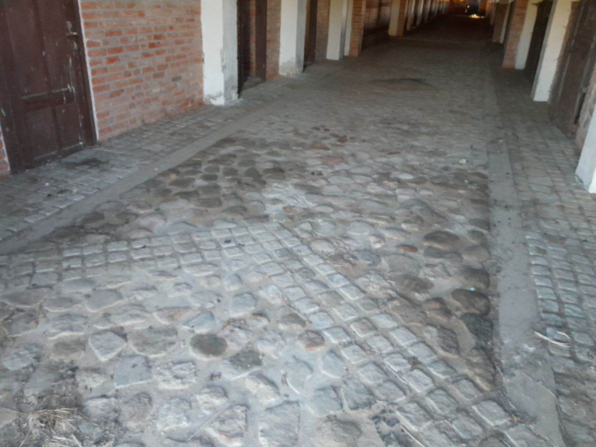 Komercyjny na sprzedaż