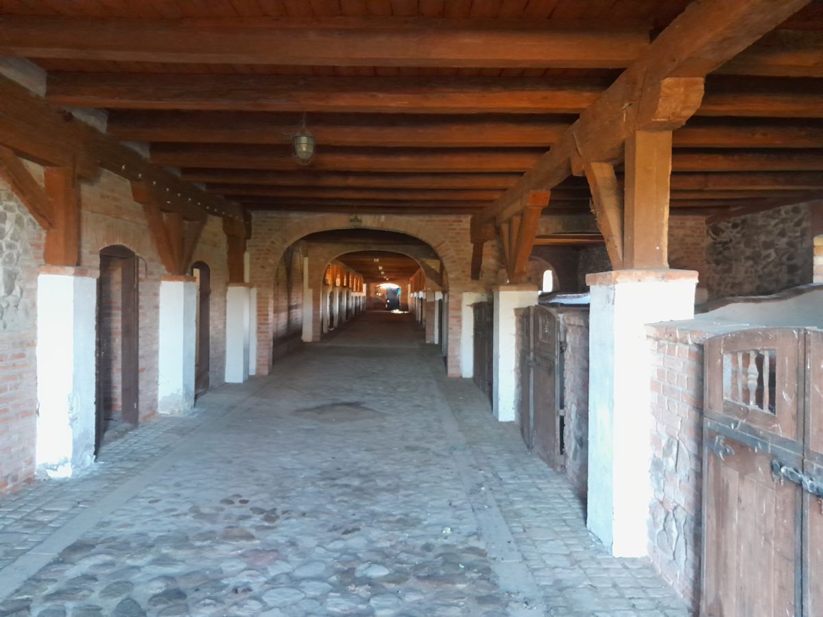 Komercyjny na sprzedaż