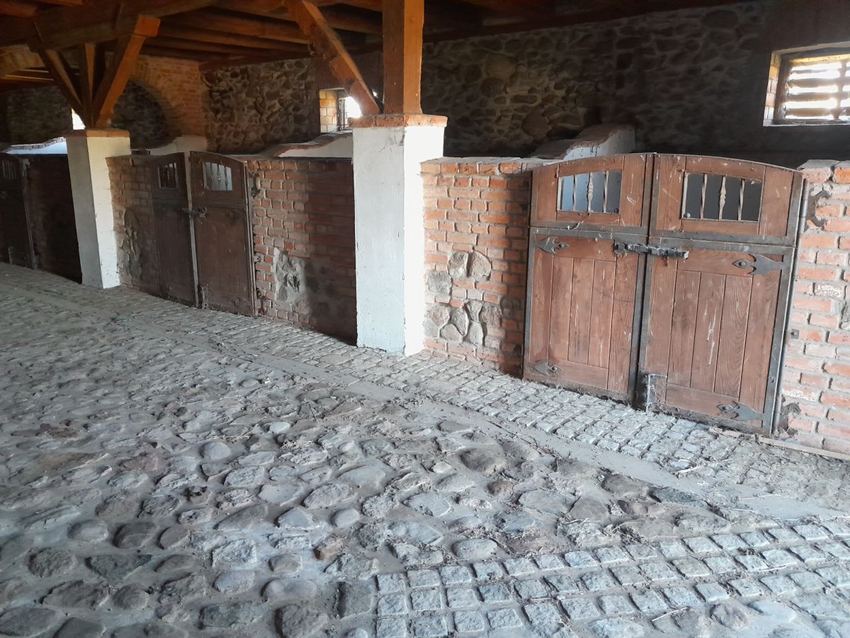 Komercyjny na sprzedaż