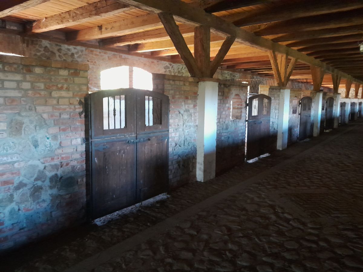 Komercyjny na sprzedaż